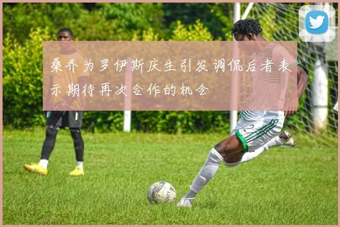 桑乔为罗伊斯庆生引发调侃后者表示期待再次合作的机会
