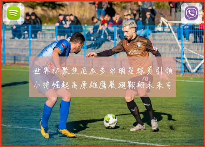 世界杯聚焦厄瓜多尔明星球员引领小将崛起高原雄鹰展翅翱翔未来可期