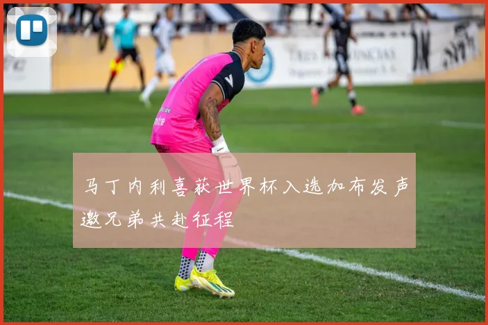 马丁内利喜获世界杯入选加布发声邀兄弟共赴征程