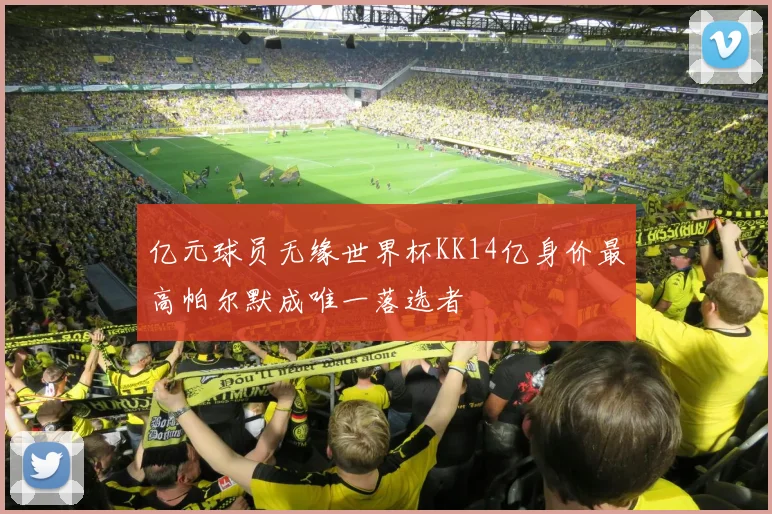 亿元球员无缘世界杯KK14亿身价最高帕尔默成唯一落选者