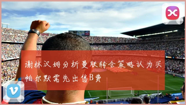 谢林汉姆分析曼联转会策略认为买帕尔默需先出售B费