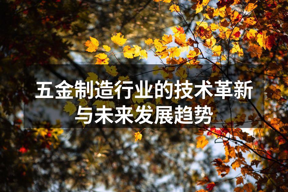 五金制造行业的技术革新与未来发展趋势